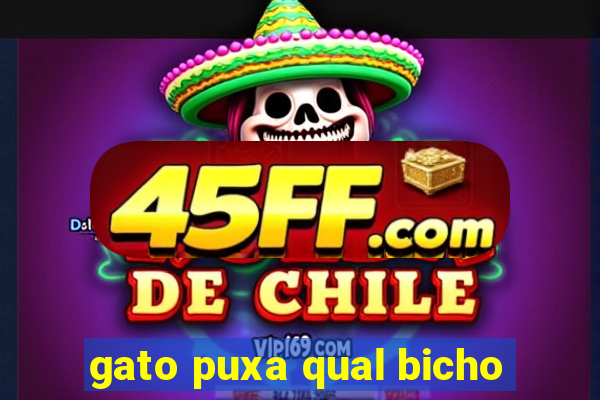 gato puxa qual bicho